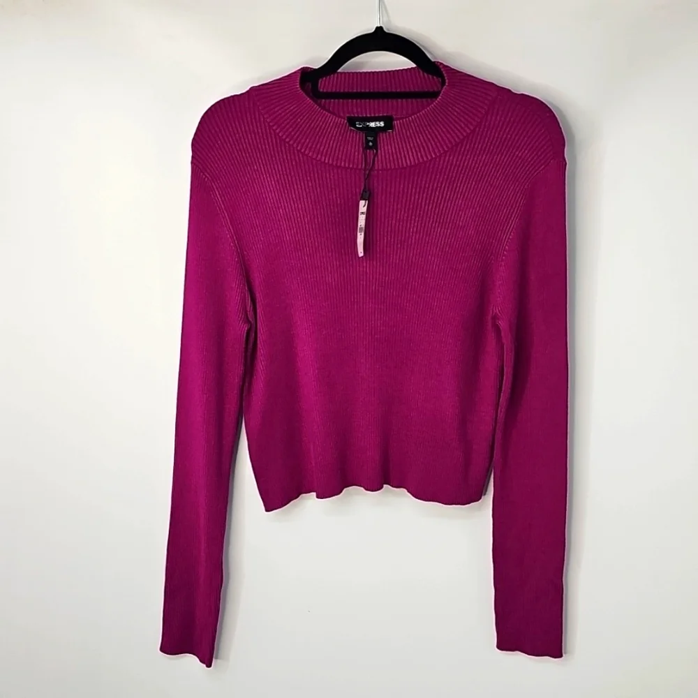 Express Ribbed Mock Turtleneck Cropped‎ Knit Sweater Top Fuchsia Pink